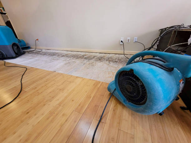 Professional Flood Damage Cleanup technician working in Norway, MI